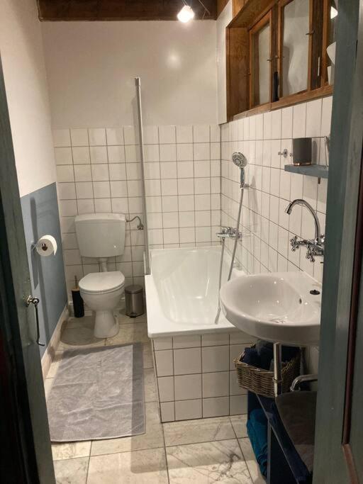 Idylle Unter Reet, Gemuetliche Ferienwohnug Apartment Haseldorf Bagian luar foto